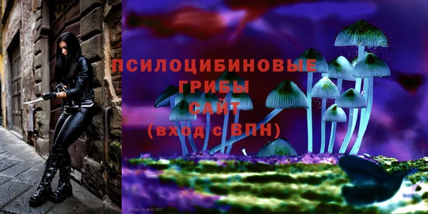 скорость Богородицк