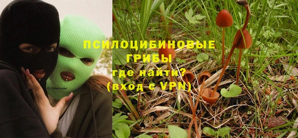 прущая мука Богданович