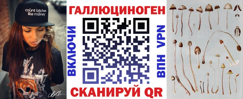 Галлюциногенные грибы мухоморы где найти даркнет как зайти Архангельск